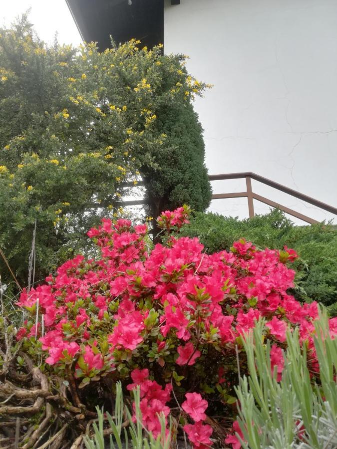 Ollasio18 Giaveno المظهر الخارجي الصورة