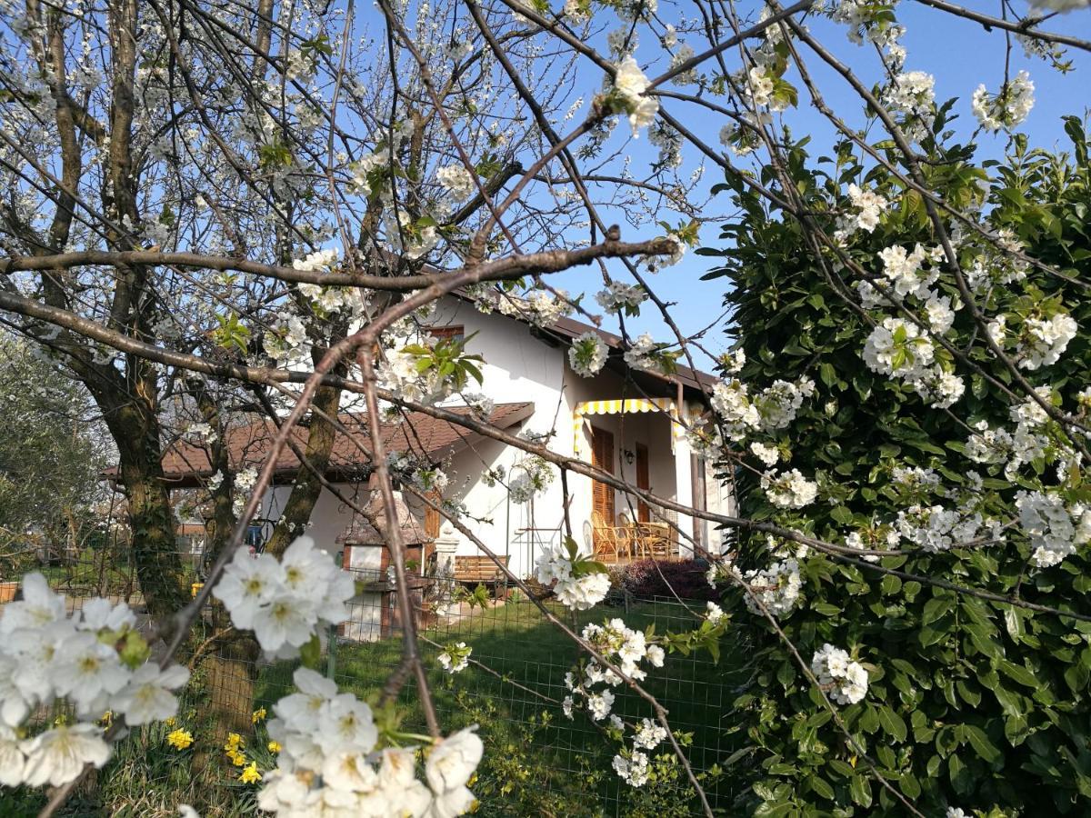 Ollasio18 Giaveno المظهر الخارجي الصورة